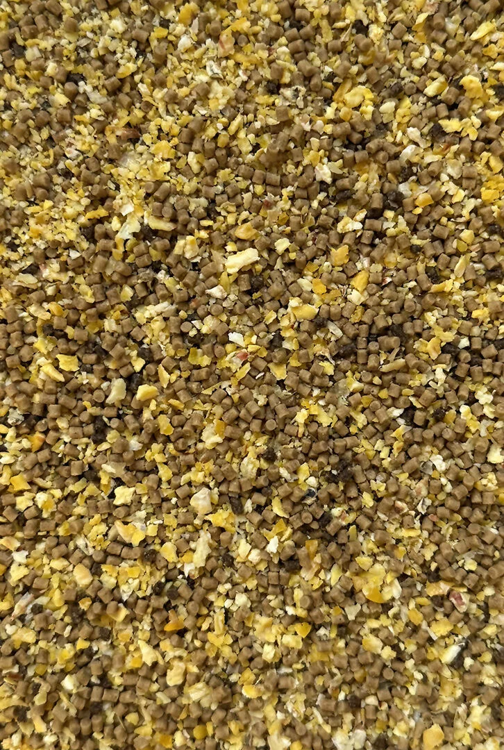 Seria-Klubowa-Dynamic-corn-natural-Feeder-Bait_[2554]_1200